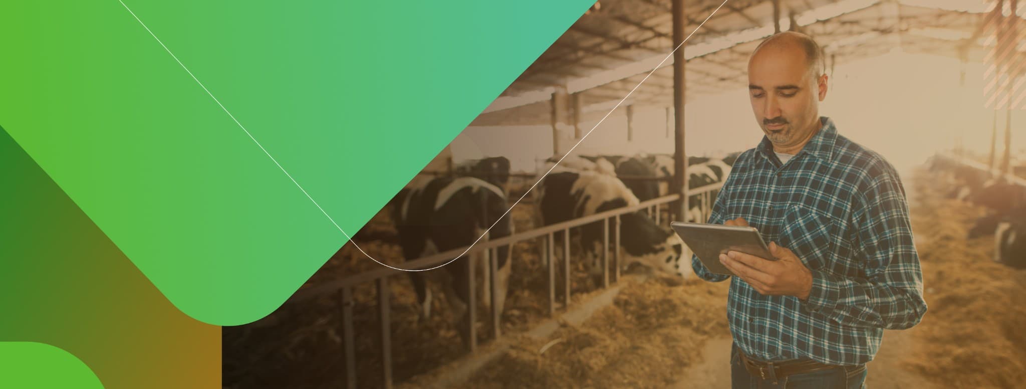 Capacitaciones Virtuales